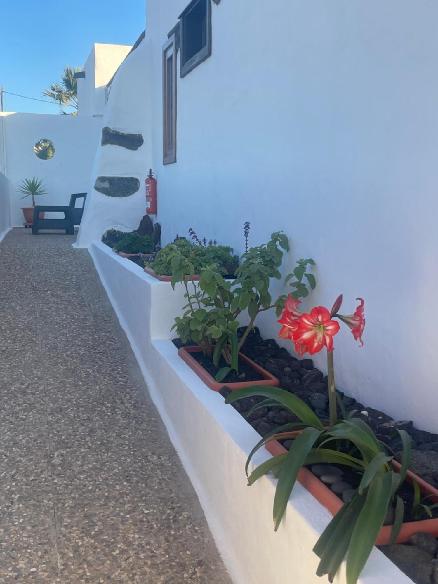 Rural Yemita Appartement
